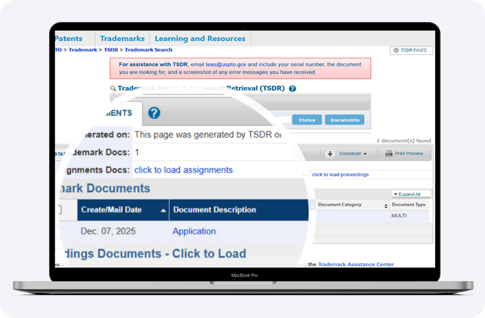 Trademark Consultation